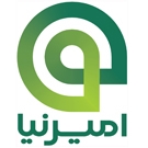 امیرنیا