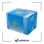 سیلندر abs دار 405 1
